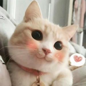 謝**