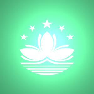 國(guó)內(nèi)到澳門(mén)物流,國(guó)內(nèi)至澳門(mén)貨運(yùn),國(guó)內(nèi)物流到澳門(mén)