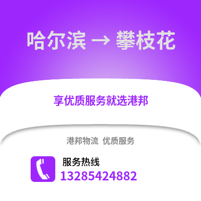 哈爾濱到攀枝花物流專線_哈爾濱到攀枝花貨運專線公司