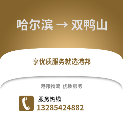 哈爾濱到雙鴨山物流專線_哈爾濱到雙鴨山貨運專線公司