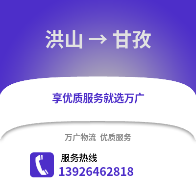 武漢洪山到甘孜物流專線_武漢洪山到甘孜貨運(yùn)專線公司