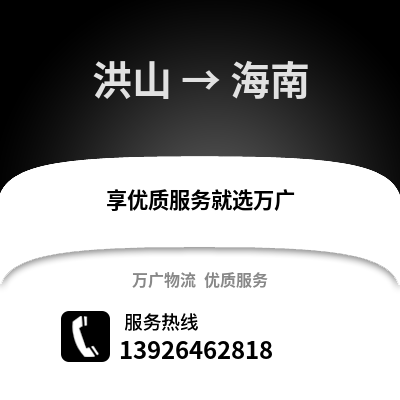 武漢洪山到海南物流專線_武漢洪山到海南貨運專線公司