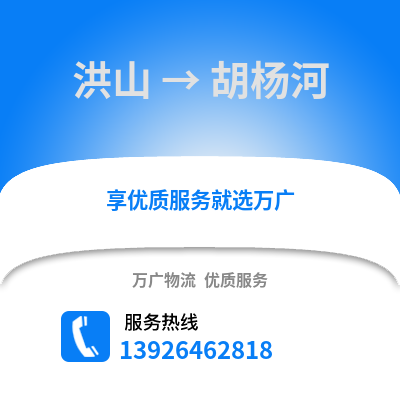 武漢洪山到胡楊河物流專線_武漢洪山到胡楊河貨運專線公司