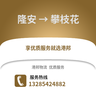 南寧隆安到攀枝花物流專線_南寧隆安到攀枝花貨運(yùn)專線公司