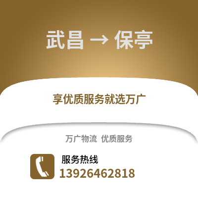 武漢武昌到保亭物流專線_武漢武昌到保亭貨運專線公司
