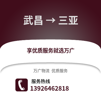 武漢武昌到三亞物流專線_武漢武昌到三亞貨運專線公司
