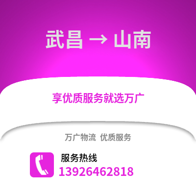 武漢武昌到山南物流專線_武漢武昌到山南貨運(yùn)專線公司